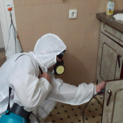 Дезинфекция от муравьев в квартире в Донском районе Москвы