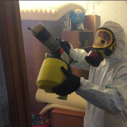 Уничтожение клопов в квартире. Донской район 